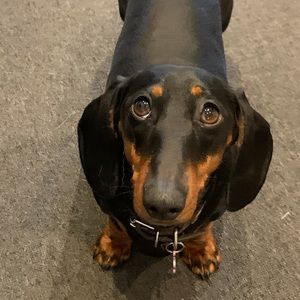 Meet your Posher, Justine